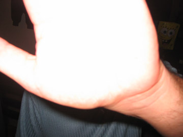 Picture 20