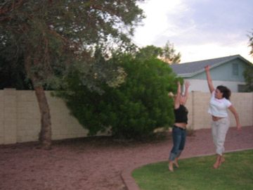 Picture 30