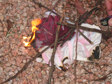 Picture 62
