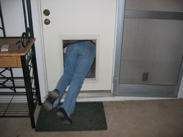 Picture 13