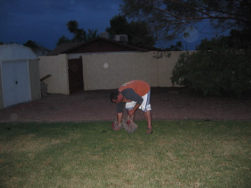 Picture 20
