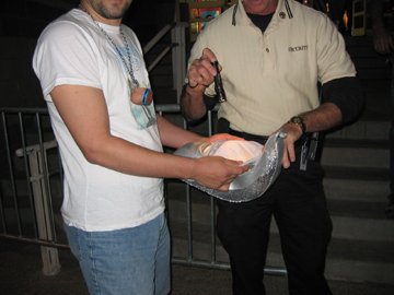 Picture 5