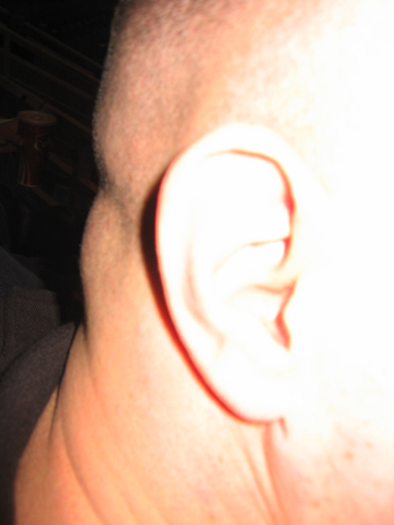 Picture 12
