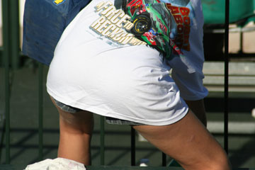 Picture 11