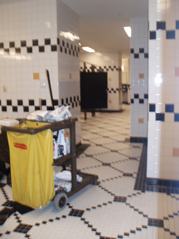 Picture 14
