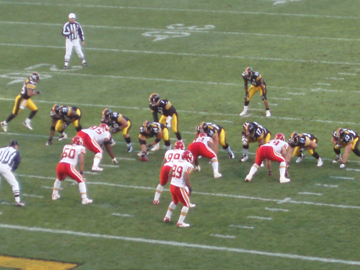 Picture 16